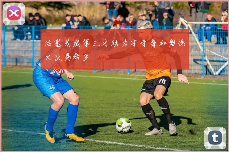 活塞或成第三方助力字母哥加盟热火交易希罗